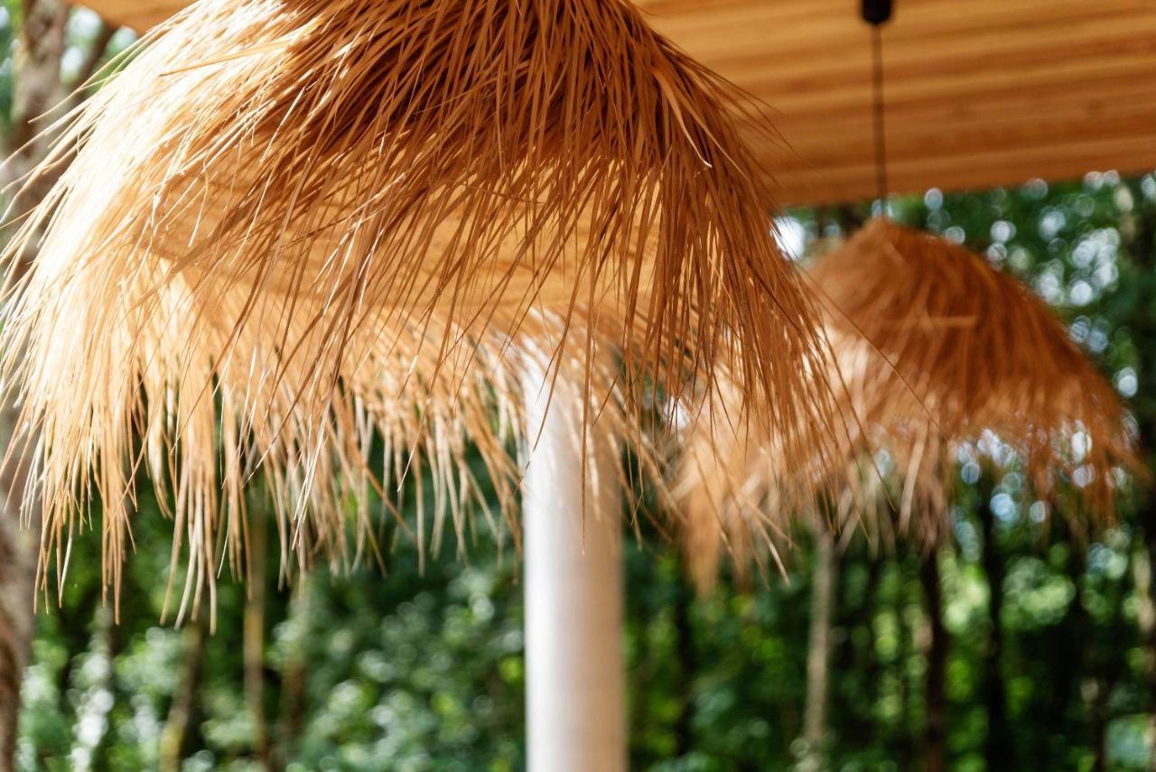 Dans Les Arbres Bed & Breakfast Lanta Bagian luar foto